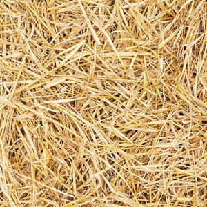 Straw